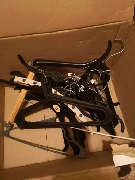Photo of free Clothes hangers (Worthing) #1
