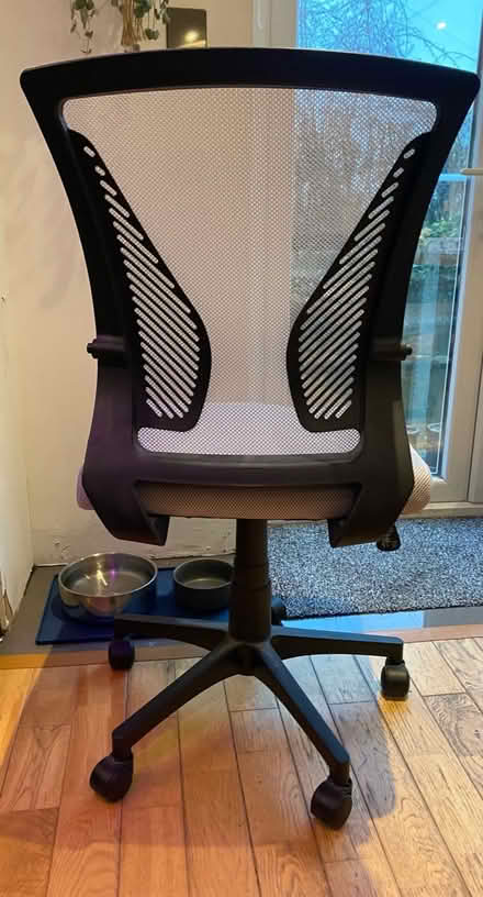 Photo of free Office chair (Fareham PO16) #2