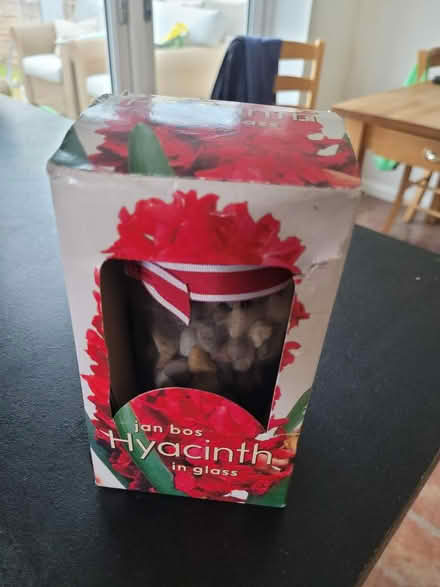 Photo of free Hyacinth glass - empty (WOKING St Johns GU21) #1