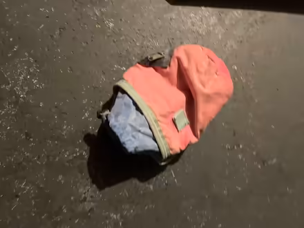 Photo of free Chalk bag for climbing (Phinney Ridge) #2
