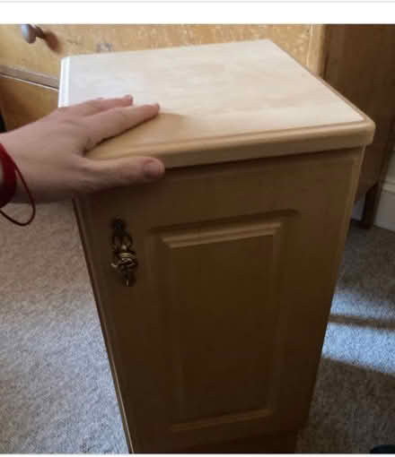 Photo of free Bedside table or bathroom cabinet (Woodmancote GL11) #1