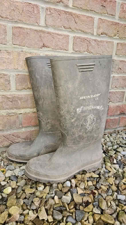 Photo of free Dunlop wellies - adult size 7-9 (Bilton HG1) #1