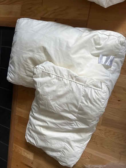 Photo of free Pillows (Hayling Island PO11) #1