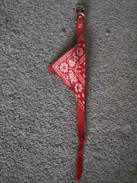 Photo of free Small dog collar with bandana (Worthing) #2