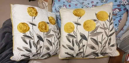 Photo of free 2 cushions floral design (Chorley Moor PR7) #1