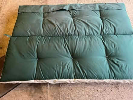 Photo of free Cushion for swinging hammock (Stevenage (Broadwater) SG2) #2