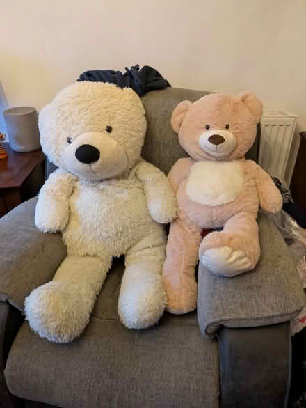 Photo of free Very Large Soft Teddies (Elland HX5) #1