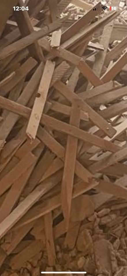 Photo of free Dry wood for burning or any project (Selly oak) #1