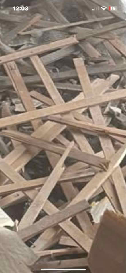 Photo of free Dry wood for burning or any project (Selly oak) #2