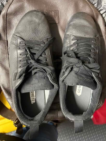Photo of free Lacoste gore tex size 10.5 men shoes (Marks Gate IG7) #2