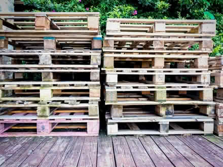 Photo of Pallets (St Martins SY10) #1