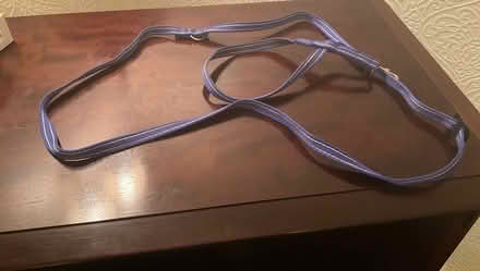 Photo of free Dog lead with integrated collar (Sale M33) #1
