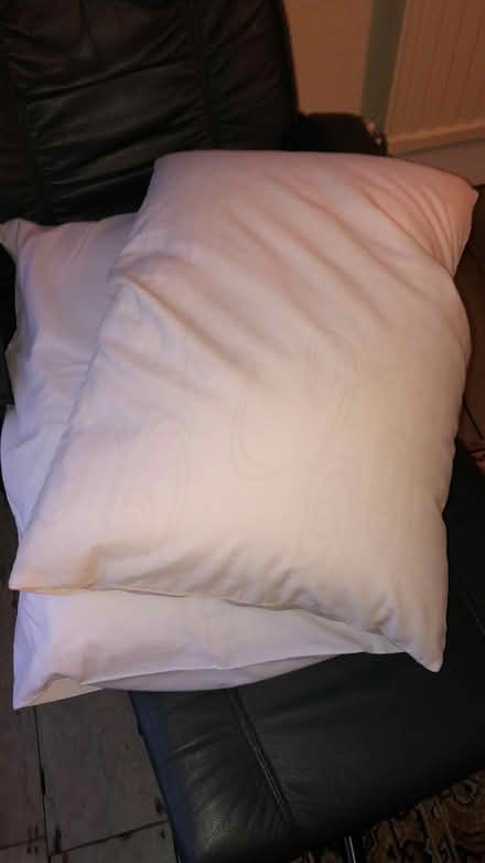 Photo of free 2 Pillows (Central Berkhamsted) #1