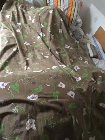 Photo of free Pair of curtains (Queen's Park BN2) #1