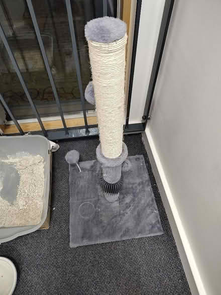 Photo of free Cat scratching post (West Hampstead NW3) #1