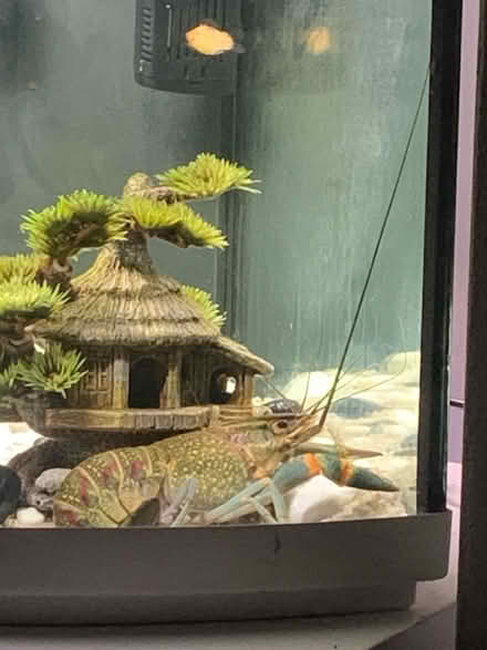 Photo of Crayfish Hideout (RM6) #1
