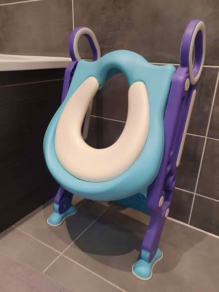 Photo of free Potty training toilet seat (Burgess Park SE5) #2
