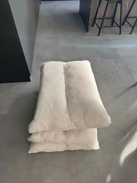 Photo of free Inside cushions (Ealing Broadway) #1
