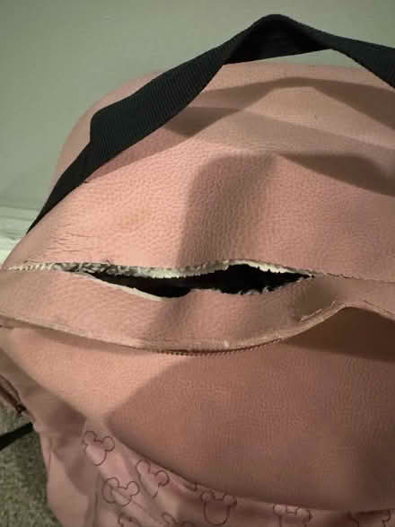 Photo of free Disney leather backpack (damaged) (Fairfield LA1) #2
