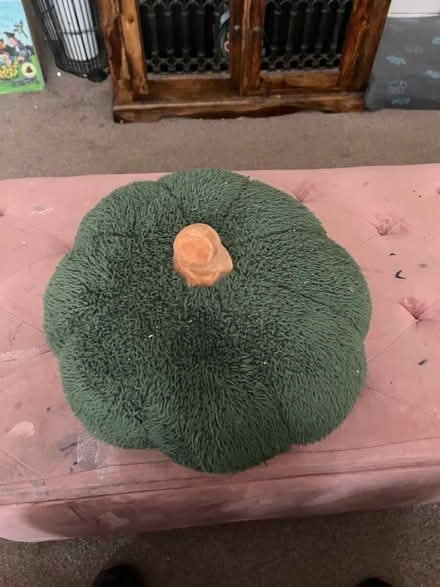 Photo of free Green pumpkin cushion (Barry CF62) #1