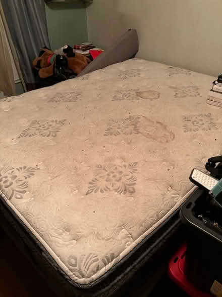 Photo of free Queen Size Pillow Top Mattress (Safety Harbor) #1