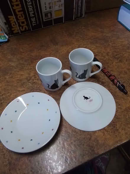 Photo of free Cat espresso cups & saucers (Fords Farm RG31) #1