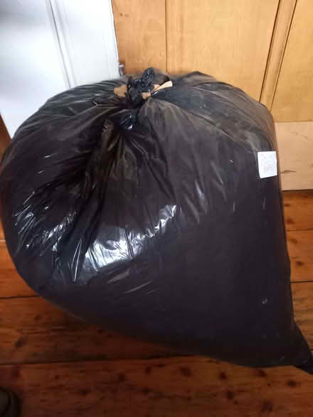 Photo of free 2 big bagfuls of beanbag pellets (polystyrene) (Sciennes EH9) #1