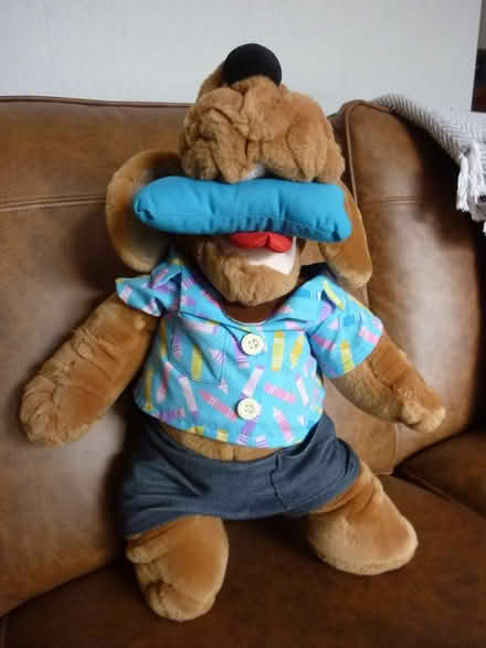 Photo of free WRINKLES Soft Toys / Puppets (Sunbury) #1