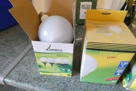 Photo of free Large globe light bulbs (Hope Valley, nr Minsterley SY5) #1