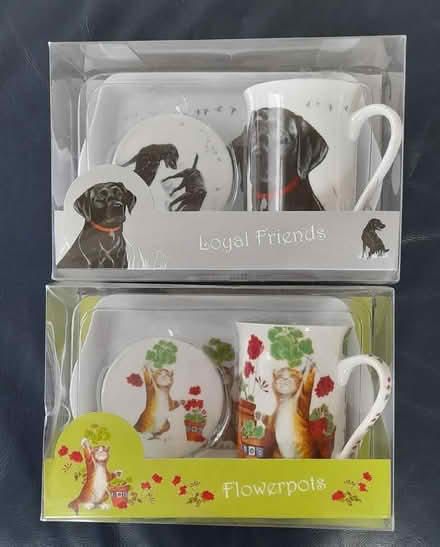 Photo of free Cat & Dog Lovers Cup & Saucer Sets (Woodford IG5) #1
