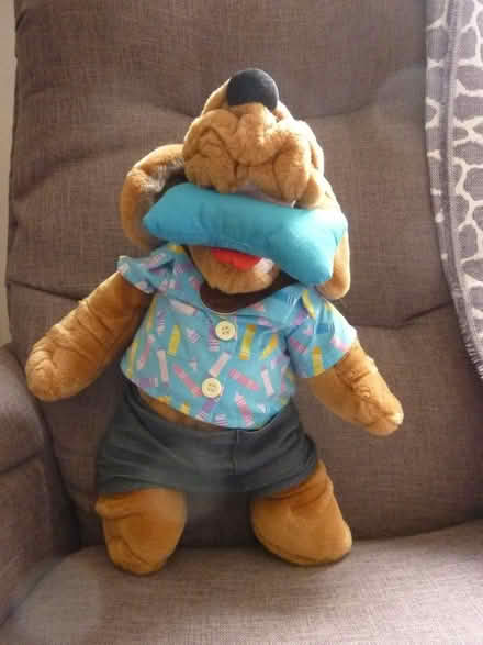 Photo of free WRINKLES Soft Toys / Puppets (Sunbury) #3