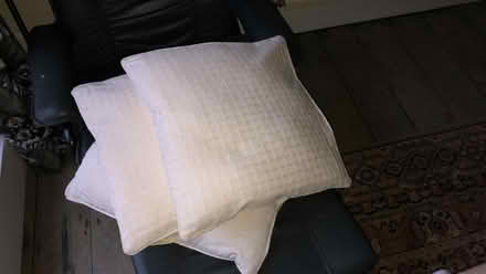 Photo of free 3 cushions (Central Berkhamsted) #1