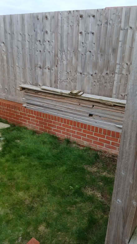 Photo of free Featherwood fencing (Greenstead CO7) #2