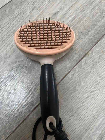 Photo of free Steel comb for pet (OX3 0RY) #1