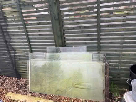 Photo of free Greenhouse glass (Eastbourne BN20) #1