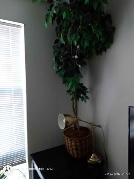 Photo of free dinning room set, couch (Alexandria, Va) #1