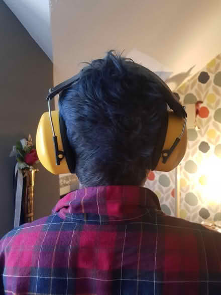 Photo of free Adult Size Ear Defenders (BA1) #2