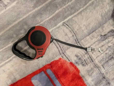 Photo of free Dog Lead (LS11) #1