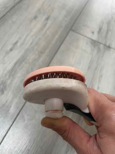 Photo of free Steel comb for pet (OX3 0RY) #2