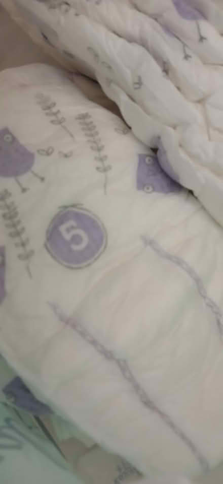 Photo of free Rascal nappies and boxes (BS16) #3