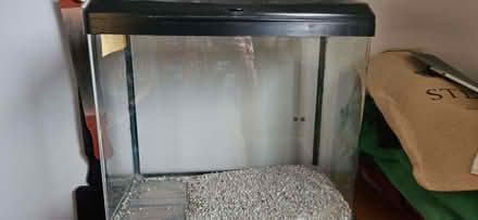 Photo of free Fish tank (Waddon TQ13) #1