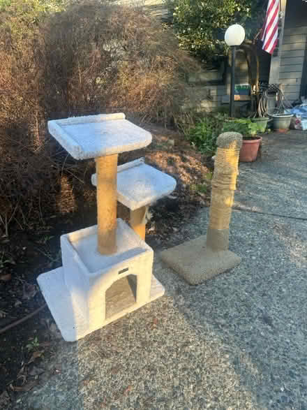 Photo of free Cat house and scratching post (NE Seattle) #1