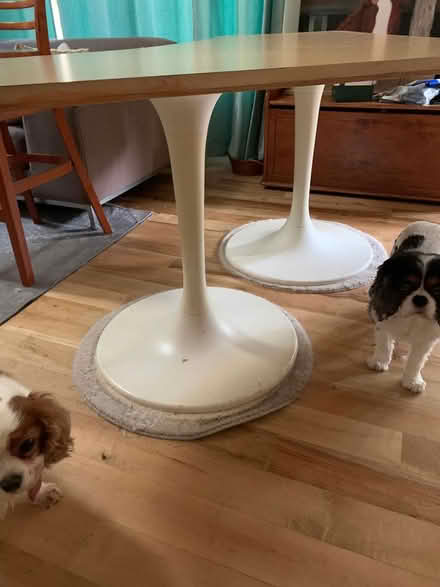Photo of free Custom table (NE Bellevue) #2