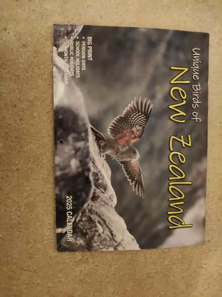 Photo of free 2025 calendar -burds of NZ (Jericho OX2) #1