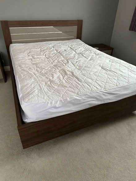 Photo of free King size bed (with mattress optional) (Great Shelford CB22) #1