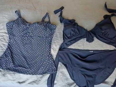 Photo of free Swimsuits for repair / upcycling (Chinatown / Little Italy) #1