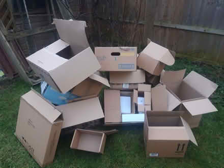 Photo of free Boxes Boxes Boxes! (Eynsham OX29) #1