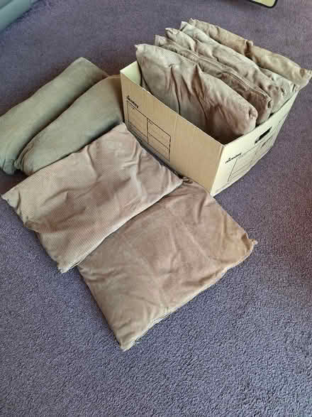 Photo of free 7 scatter cushions (Whitecross OX13) #2