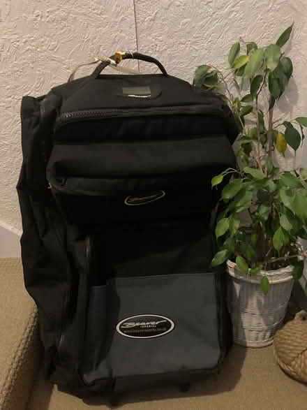 Photo of free Two large suitcase/ bags. (Maldon CM9) #3