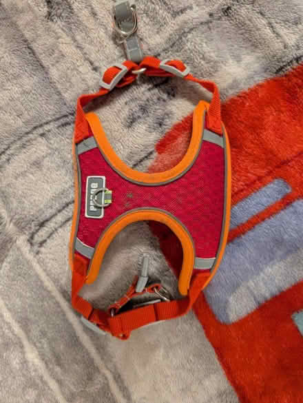 Photo of free Dog harness (LS11) #1